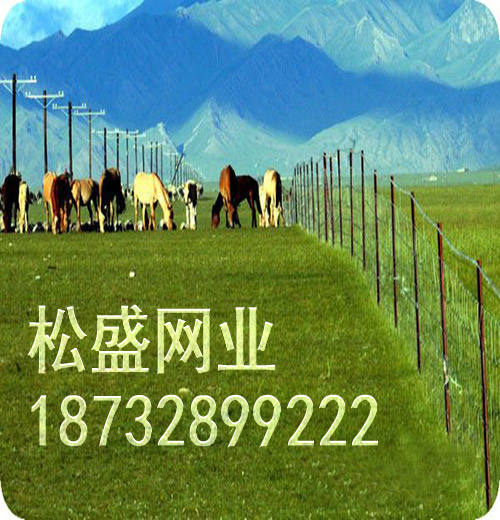 草原网围栏 (189).jpg